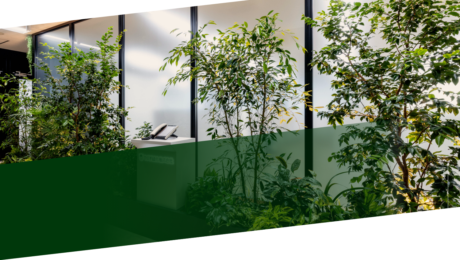 「緑のチカラ」でオフィスを彩る。
                        目指したのは、働く人や訪れる人が心地よく過ごせる人と環境にやさしいオフィス空間。
                        理想をカタチにしたヤハギ緑化のオフィスを事例にご紹介します。