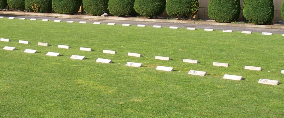 芝生駐車場 EGP イメージ