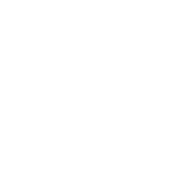 01 Voice