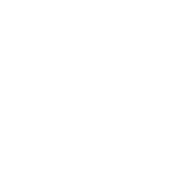 02 Voice