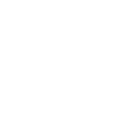 03 Voice