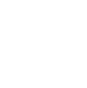 04 Voice