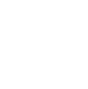 05 Voice